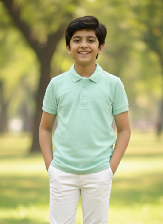 Light Blue Half Sleeves Cotton Polo T-shirt